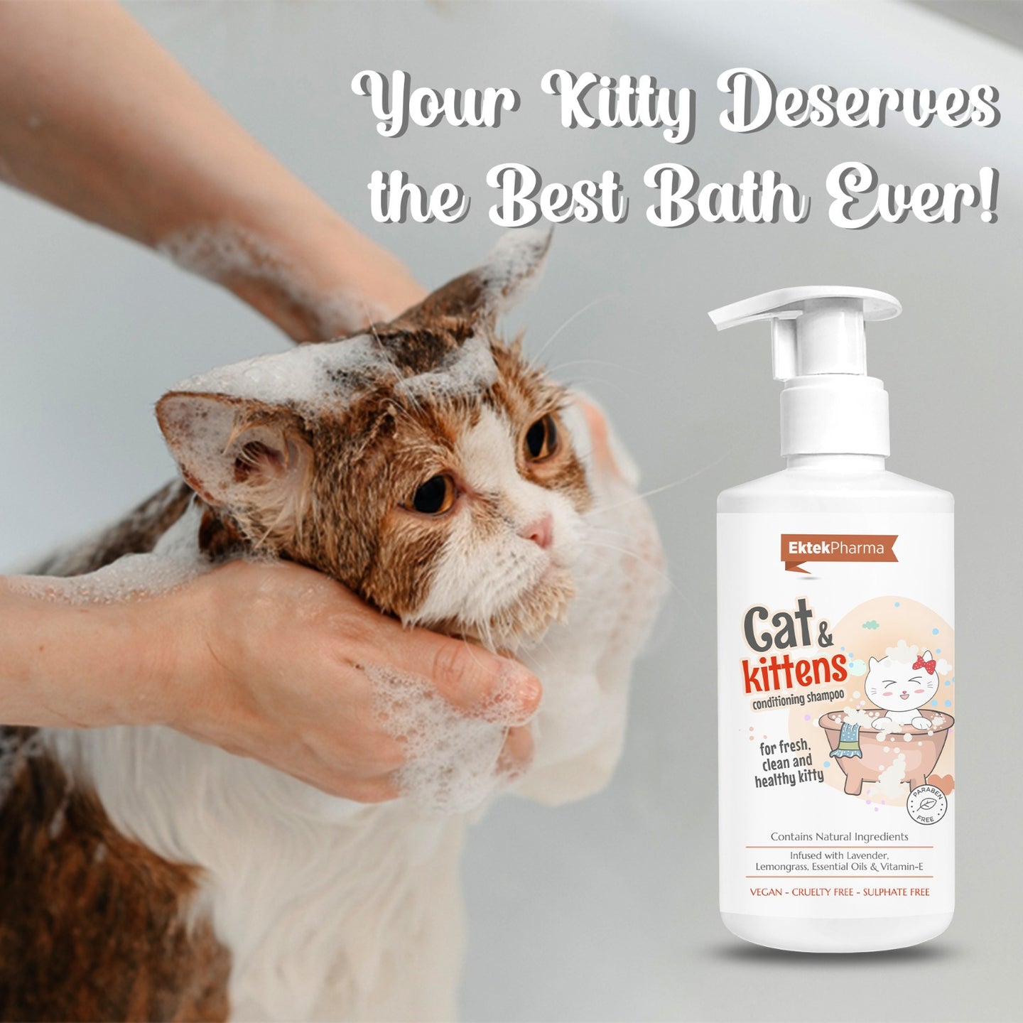 cat and kitten shampoo with smooth foam